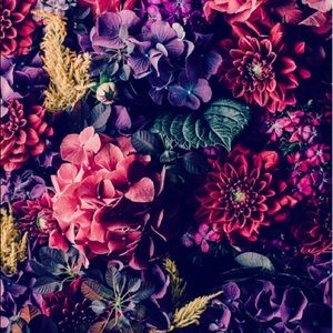 Meet your Posher, Camila